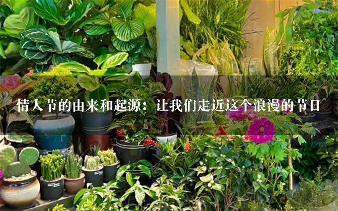 情人节的由来和起源：让我们走近这个浪漫的节日