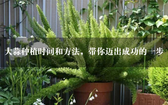 大蒜种植时间和方法，带你迈出成功的一步