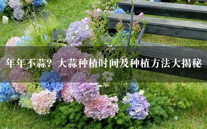 年年不蒜？大蒜种植时间及种植方法大揭秘