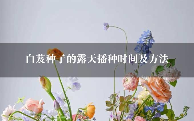 白芨种子的露天播种时间及方法