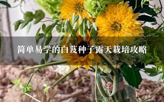 简单易学的白芨种子露天栽培攻略