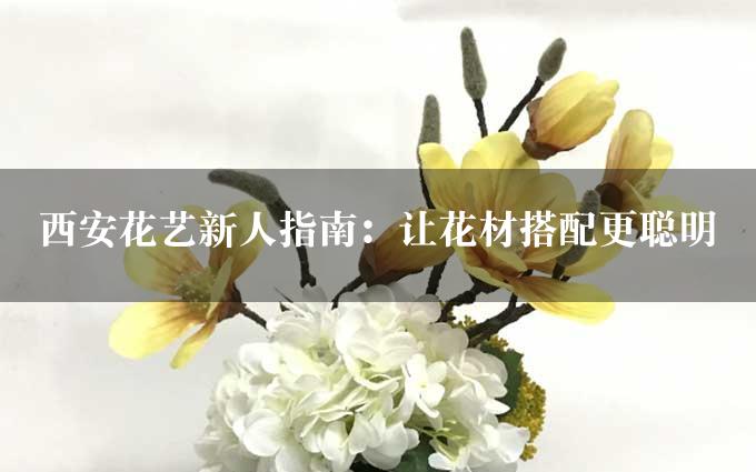 西安花艺新人指南：让花材搭配更聪明