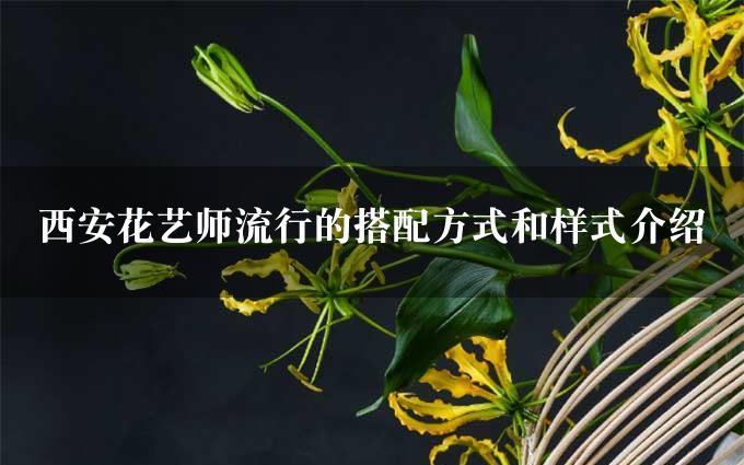 西安花艺师流行的搭配方式和样式介绍