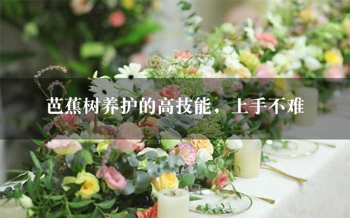 芭蕉树养护的高技能，上手不难