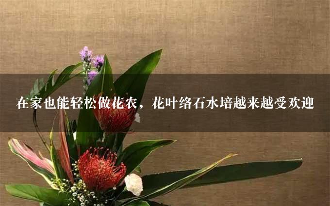 在家也能轻松做花农，花叶络石水培越来越受欢迎