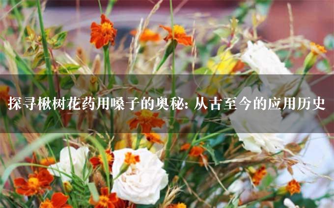 探寻楸树花药用嗓子的奥秘: 从古至今的应用历史