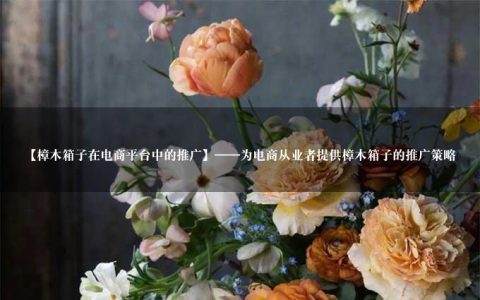 【樟木箱子在电商平台中的推广】——为电商从业者提供樟木箱子的推广策略