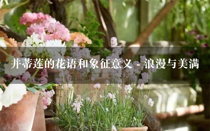 并蒂莲的花语和象征意义 - 浪漫与美满