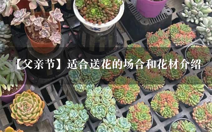 【父亲节】适合送花的场合和花材介绍