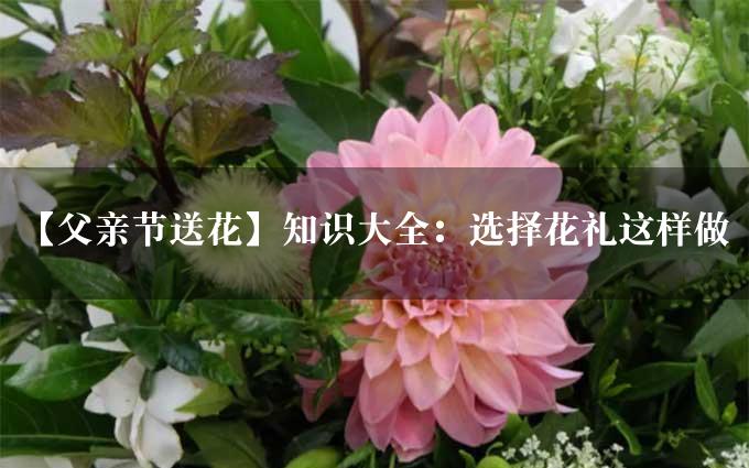 【父亲节送花】知识大全：选择花礼这样做