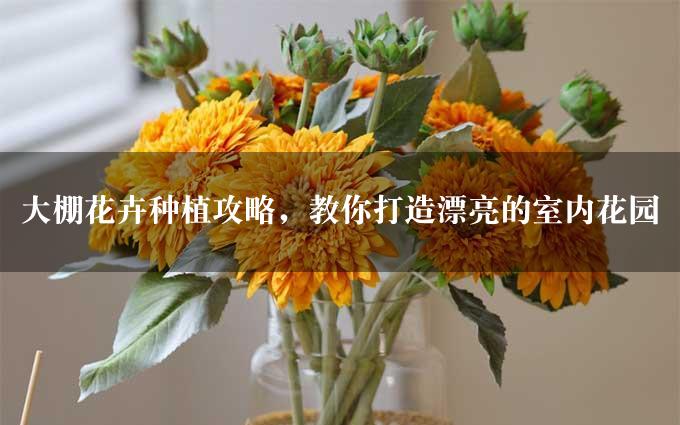 大棚花卉种植攻略，教你打造漂亮的室内花园