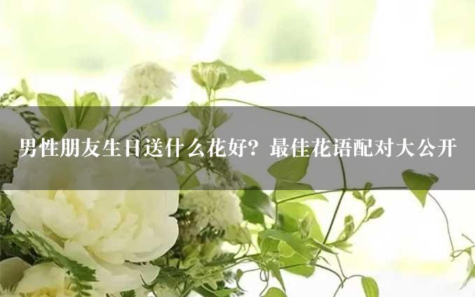 男性朋友生日送什么花好？最佳花语配对大公开