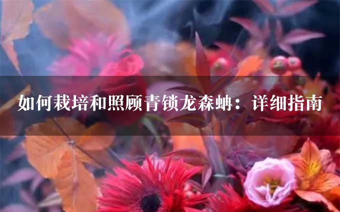 如何栽培和照顾青锁龙森蚺：详细指南