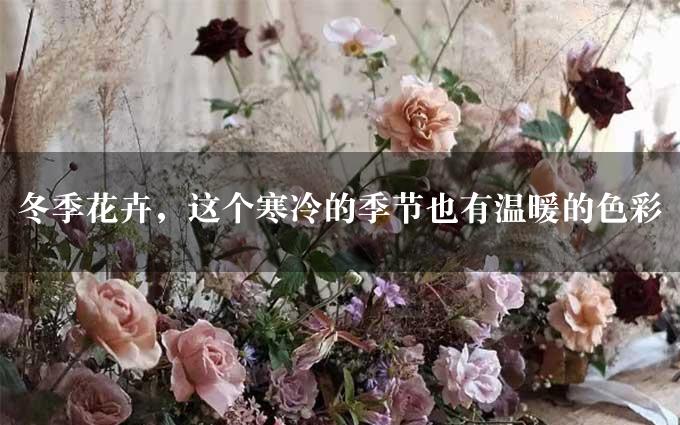 冬季花卉，这个寒冷的季节也有温暖的色彩