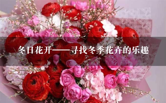 冬日花开——寻找冬季花卉的乐趣