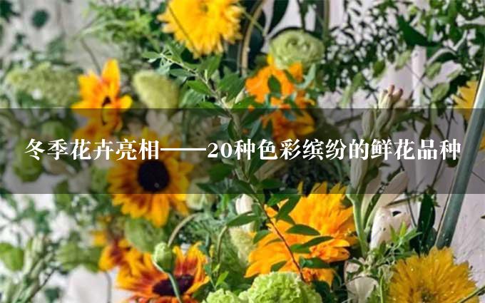 冬季花卉亮相——20种色彩缤纷的鲜花品种