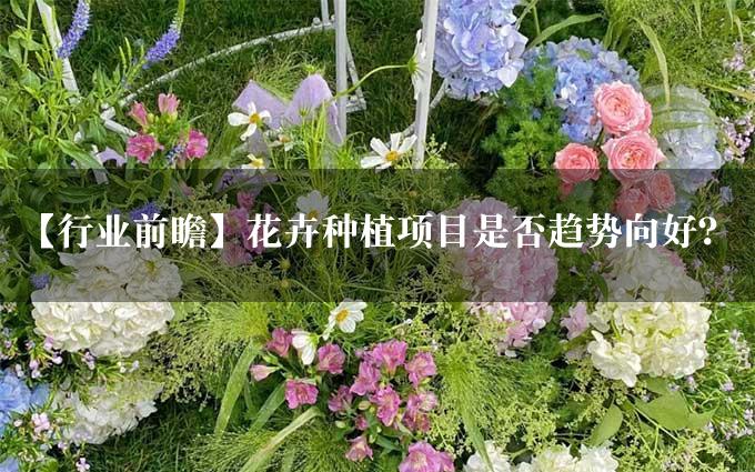 【行业前瞻】花卉种植项目是否趋势向好？