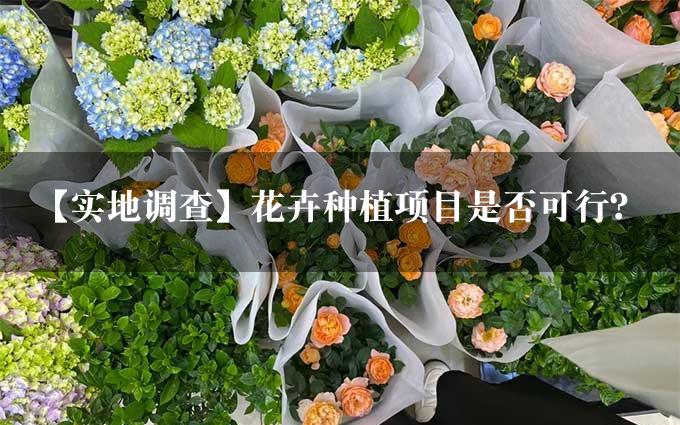 【实地调查】花卉种植项目是否可行？