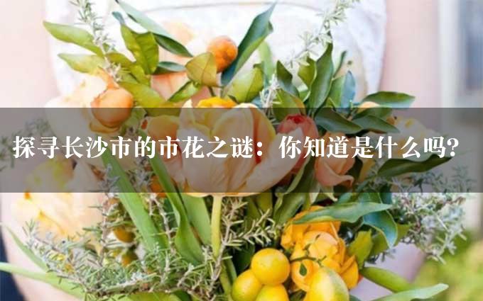 探寻长沙市的市花之谜：你知道是什么吗？