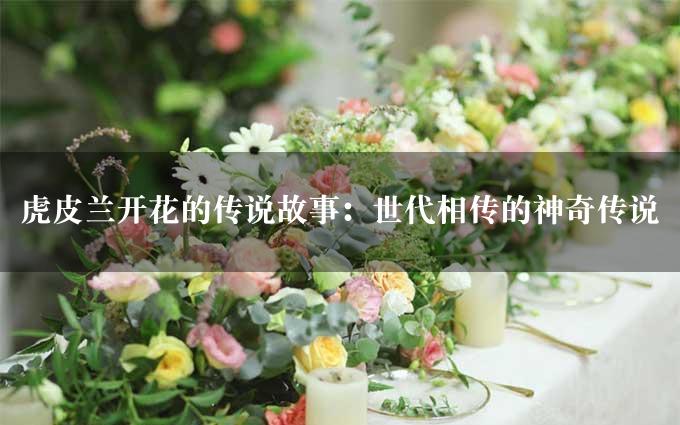 虎皮兰开花的传说故事：世代相传的神奇传说