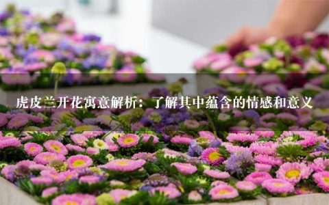 虎皮兰开花寓意解析：了解其中蕴含的情感和意义