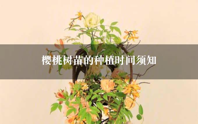 樱桃树苗的种植时间须知