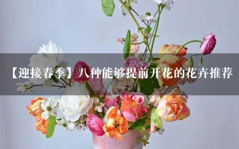 【迎接春季】八种能够提前开花的花卉推荐