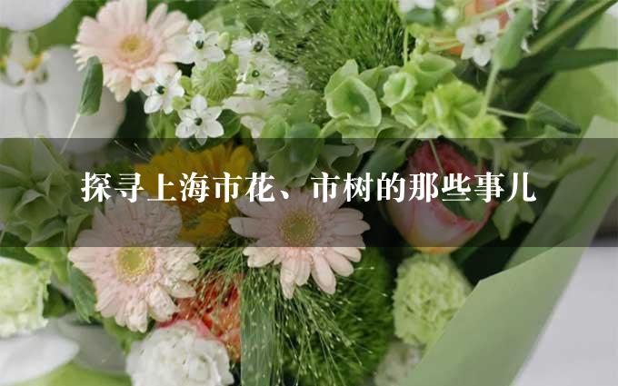 探寻上海市花、市树的那些事儿