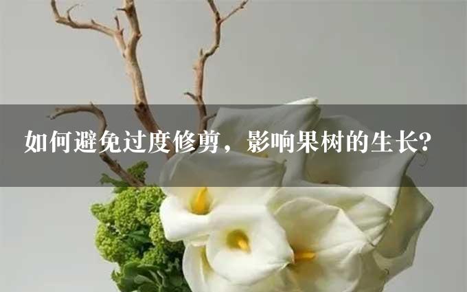 如何避免过度修剪，影响果树的生长？