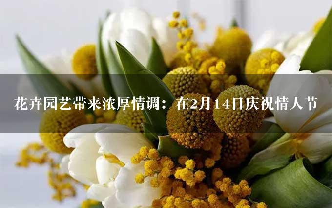 花卉园艺带来浓厚情调：在2月14日庆祝情人节