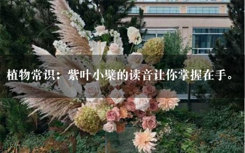 植物常识：紫叶小檗的读音让你掌握在手。