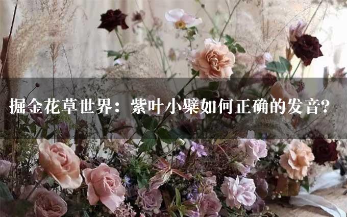 掘金花草世界：紫叶小檗如何正确的发音？