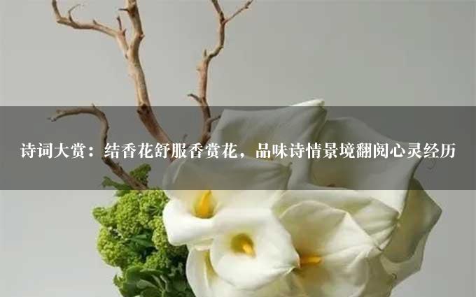 诗词大赏：结香花舒服香赏花，品味诗情景境翻阅心灵经历