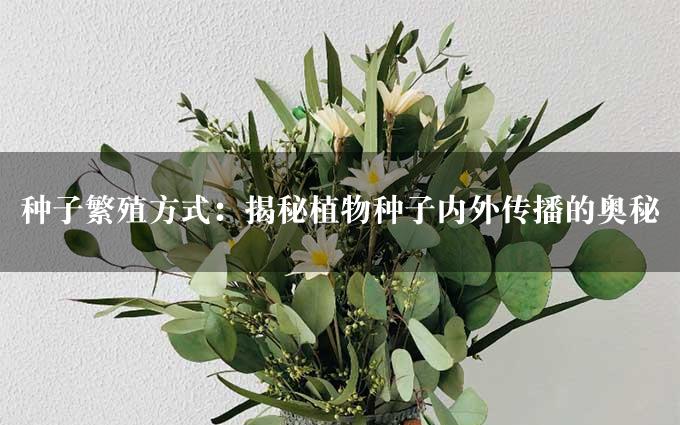 种子繁殖方式：揭秘植物种子内外传播的奥秘