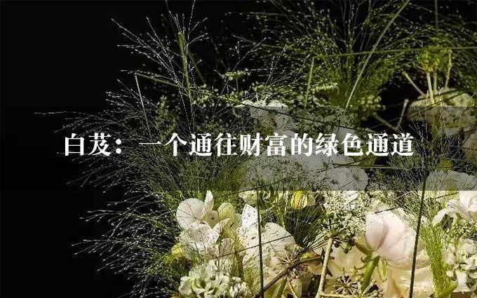 白芨：一个通往财富的绿色通道