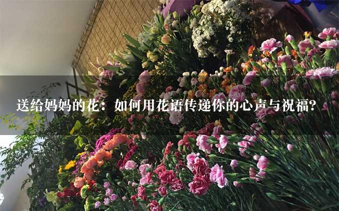 送给妈妈的花：如何用花语传递你的心声与祝福？