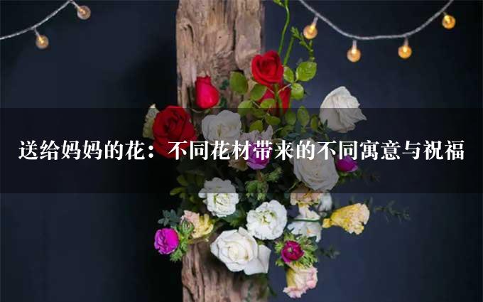 送给妈妈的花：不同花材带来的不同寓意与祝福