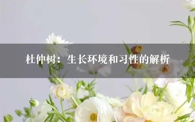 杜仲树：生长环境和习性的解析