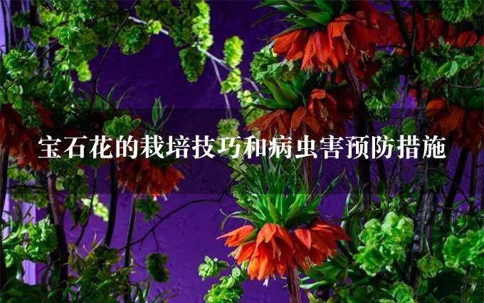 宝石花的栽培技巧和病虫害预防措施