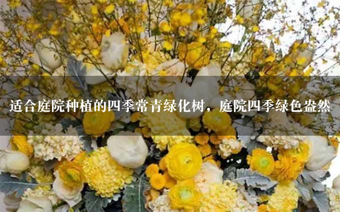 适合庭院种植的四季常青绿化树，庭院四季绿色盎然