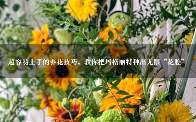 超容易上手的养花技巧，教你把玛格丽特种出无限“花腔”