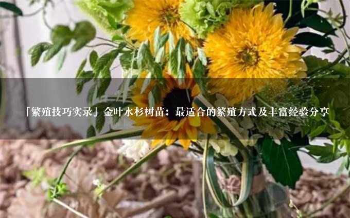 「繁殖技巧实录」金叶水杉树苗：最适合的繁殖方式及丰富经验分享