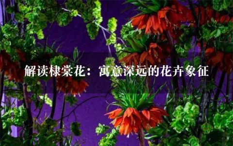 解读棣棠花：寓意深远的花卉象征