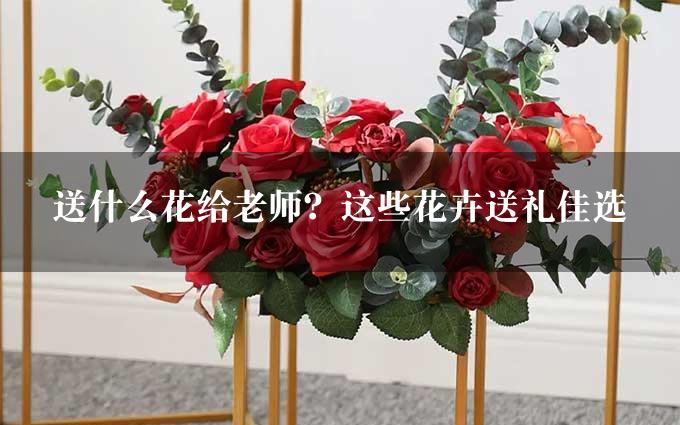 送什么花给老师？这些花卉送礼佳选