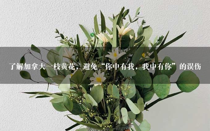 了解加拿大一枝黄花，避免“你中有我，我中有你”的误伤