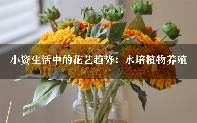 小资生活中的花艺趋势：水培植物养殖