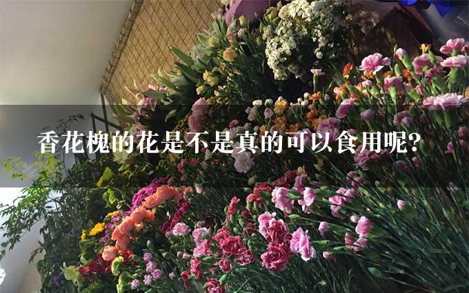 香花槐的花是不是真的可以食用呢？