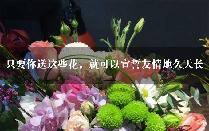 只要你送这些花，就可以宣誓友情地久天长