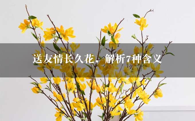 送友情长久花，解析7种含义