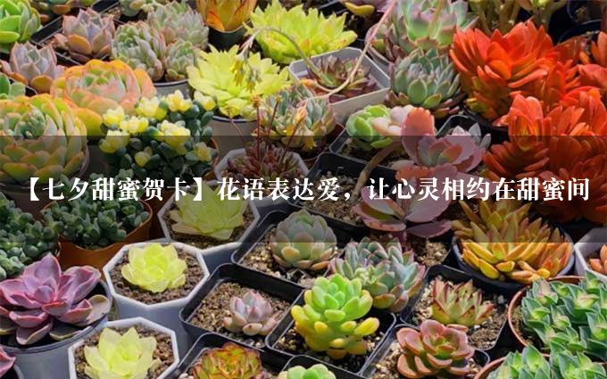 【七夕甜蜜贺卡】花语表达爱，让心灵相约在甜蜜间